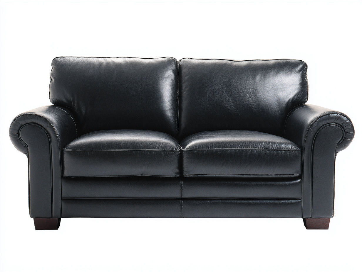 Canapé 2 places en simili cuir noir 165x88x85 cm - Accoudoirs arrondis style classique